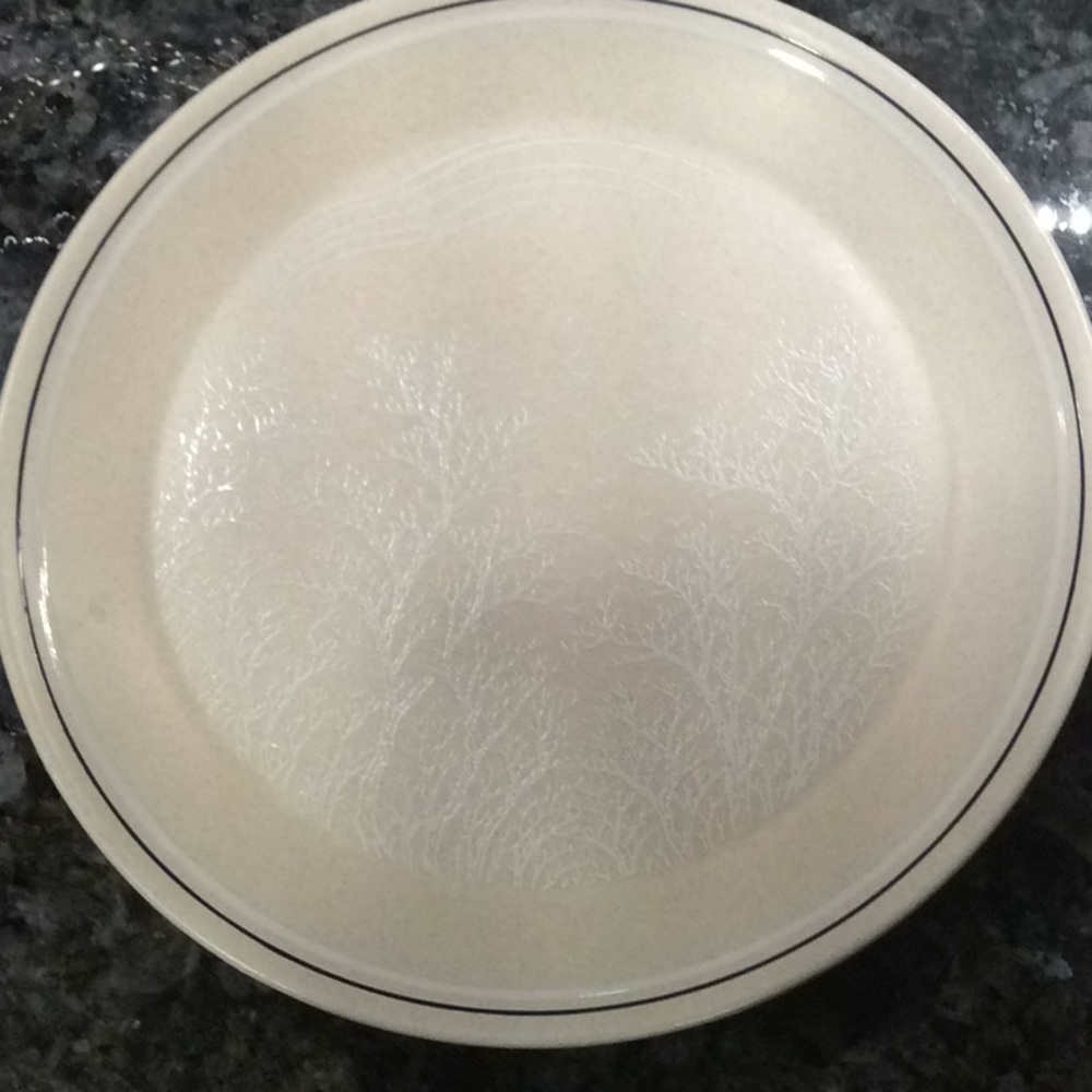 Four Lenox Temper-Ware Silhouette Dinner Plates - Picture 2 of 5